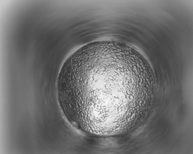 X0000067341045200604071346