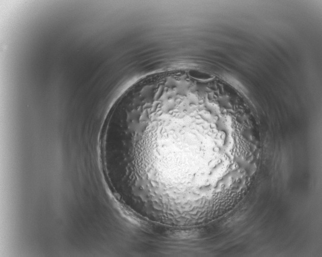 X0000067341047200604071346