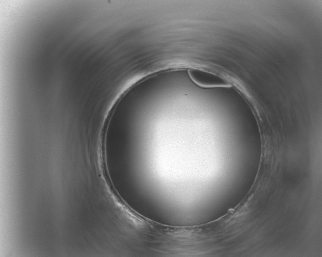 X0000067341048200604071346