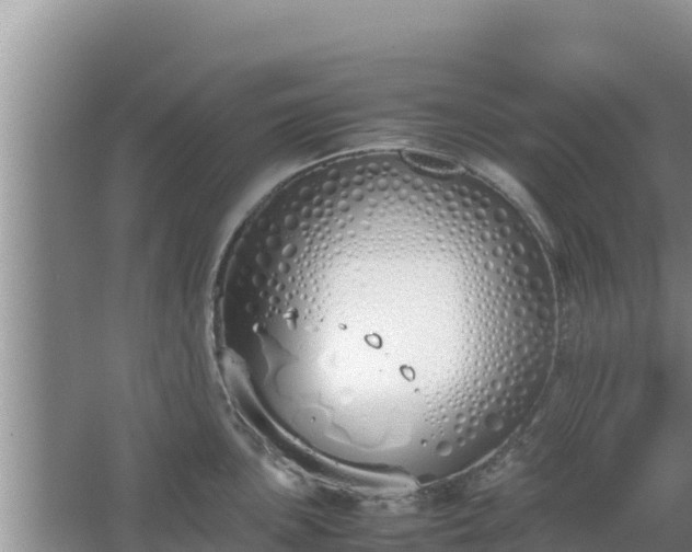 X0000067341051200604071346