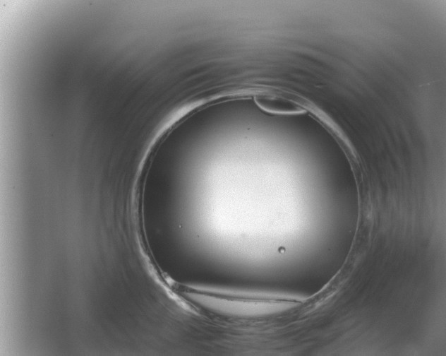 X0000067341053200604071346