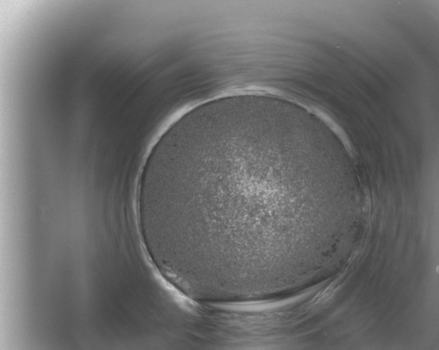 X0000067341054200604071346