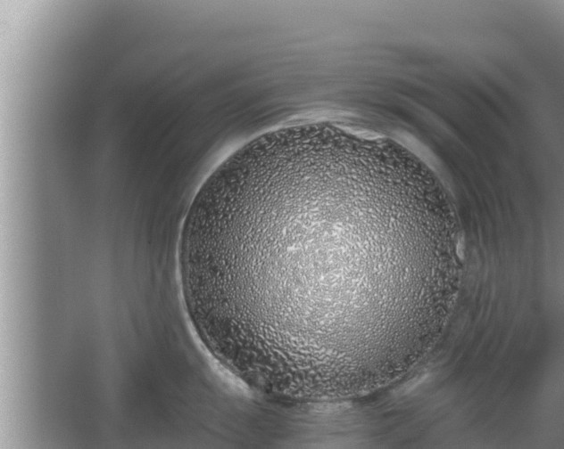 X0000067341055200604071346