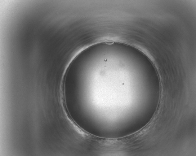 X0000067341056200604071346