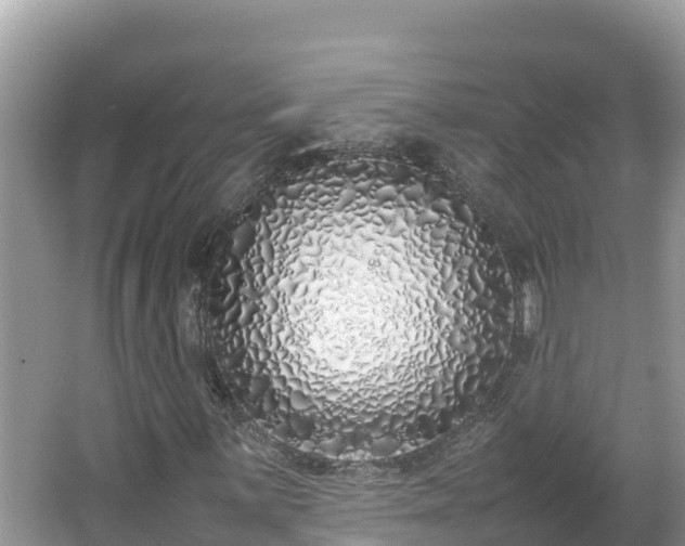 X0000067341059200604071345