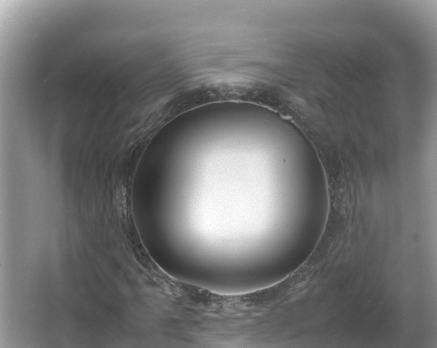 X0000067341061200604071345