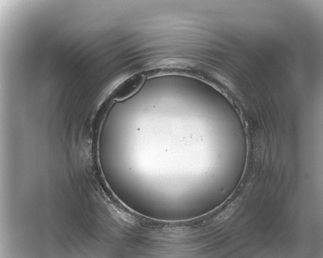 X0000067341066200604071345