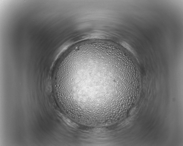 X0000067341067200604071345