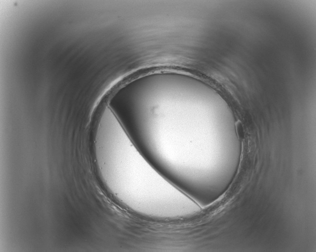 X0000067341069200604071345