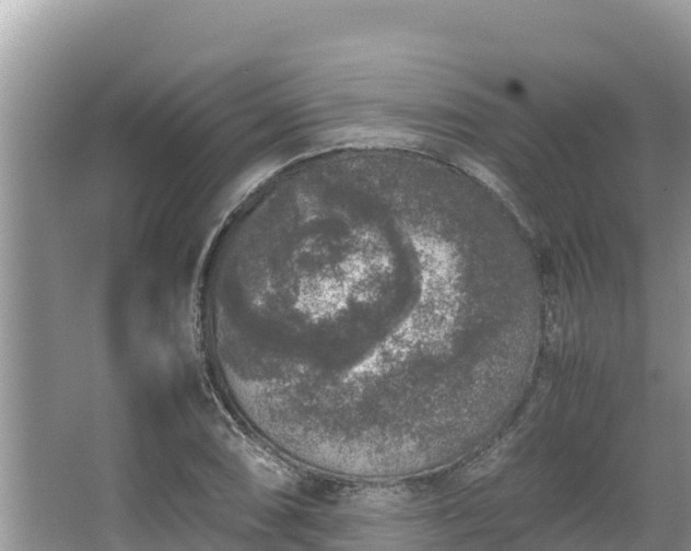 X0000067341074200604071345