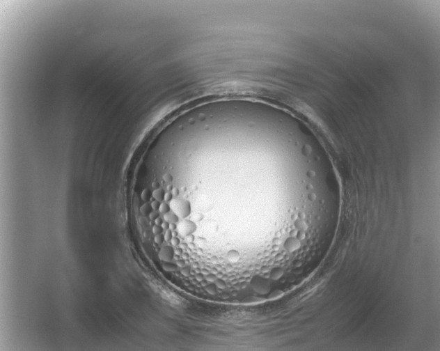 X0000067341075200604071345