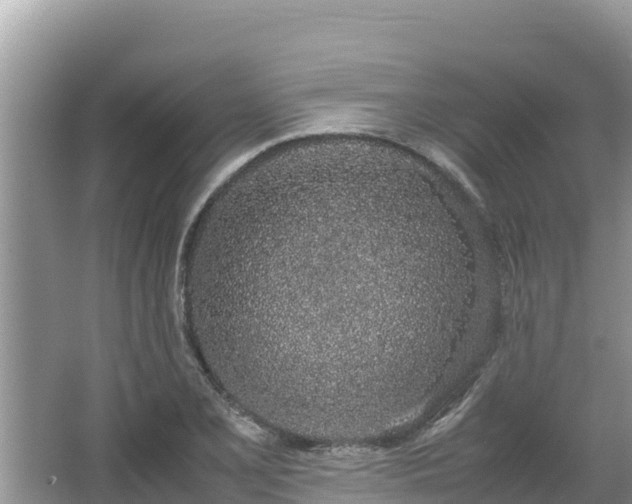 X0000067341077200604071345