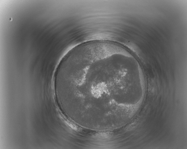 X0000067341078200604071345