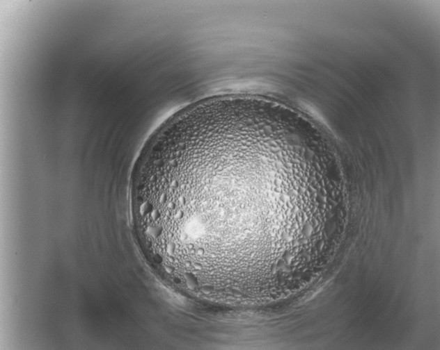 X0000067341079200604071345