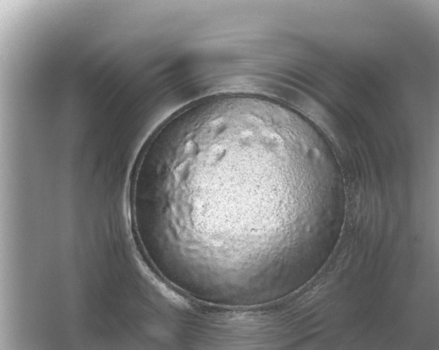 X0000067341084200604071345