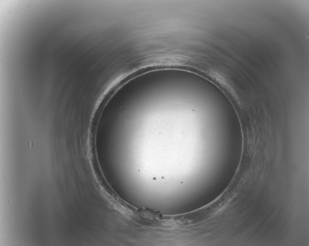 X0000067341085200604071345