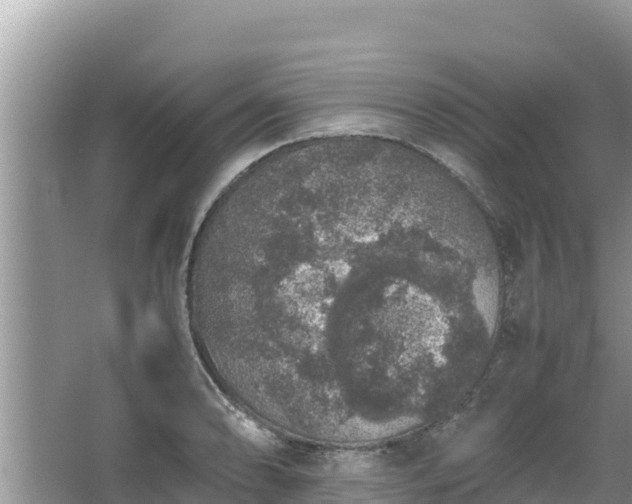 X0000067341086200604071345