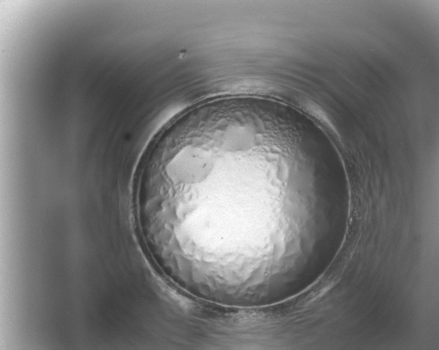 X0000067341087200604071345