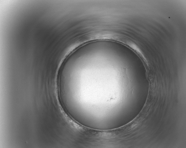 X0000067341088200604071345