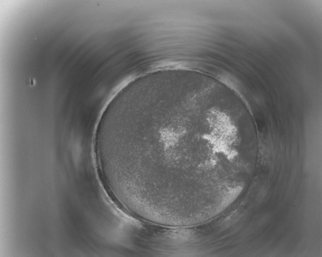 X0000067341090200604071345