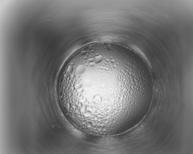 X0000067341091200604071345