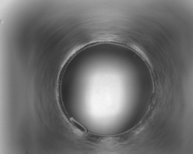 X0000067341093200604071345