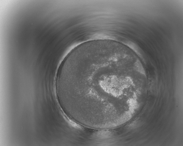 X0000067341094200604071345