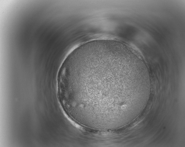 X0000067341095200604071345