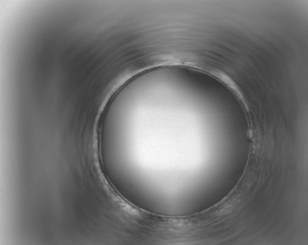 X0000067341096200604071345