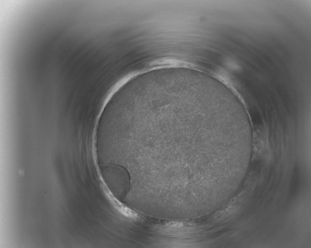 X0000067341098200604071345