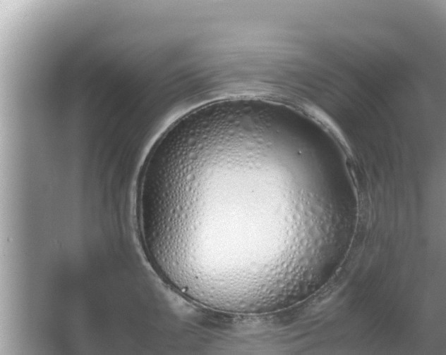 X0000067341099200604071345