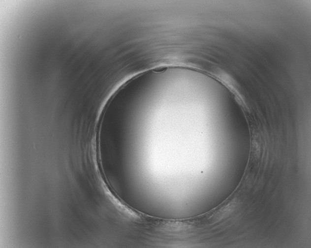 X0000067341100200604071345