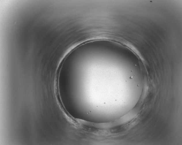 X0000067341101200604071345