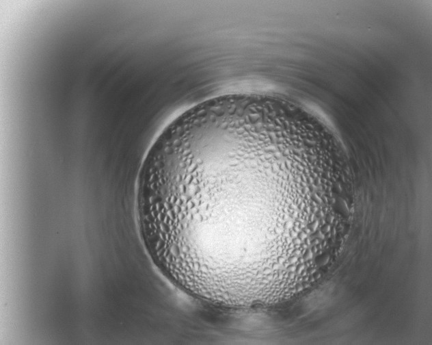 X0000067341103200604071345