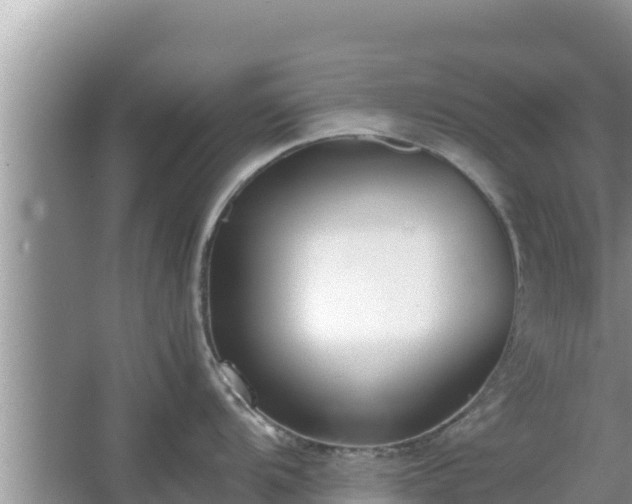 X0000067341104200604071345