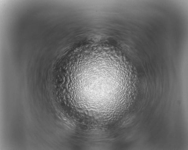 X0000067341105200604071344