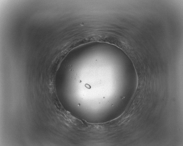 X0000067341109200604071344