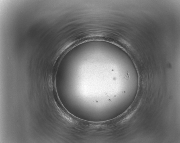 X0000067341113200604071344