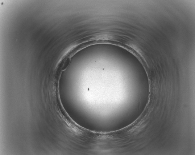 X0000067341115200604071344