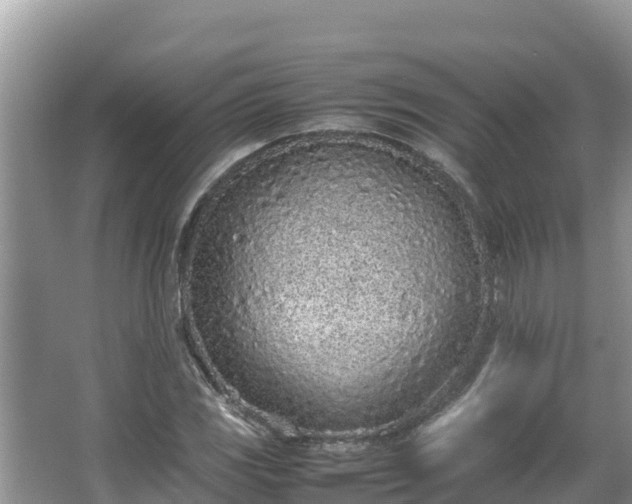 X0000067341117200604071344