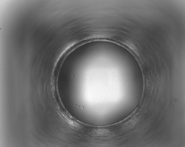 X0000067341119200604071344