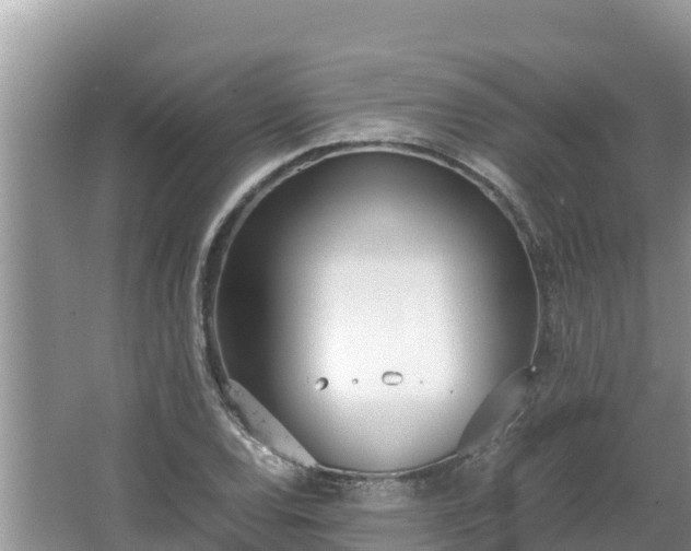 X0000067341120200604071344