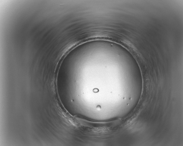 X0000067341121200604071344