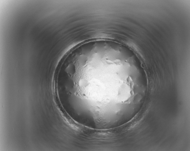 X0000067341125200604071344