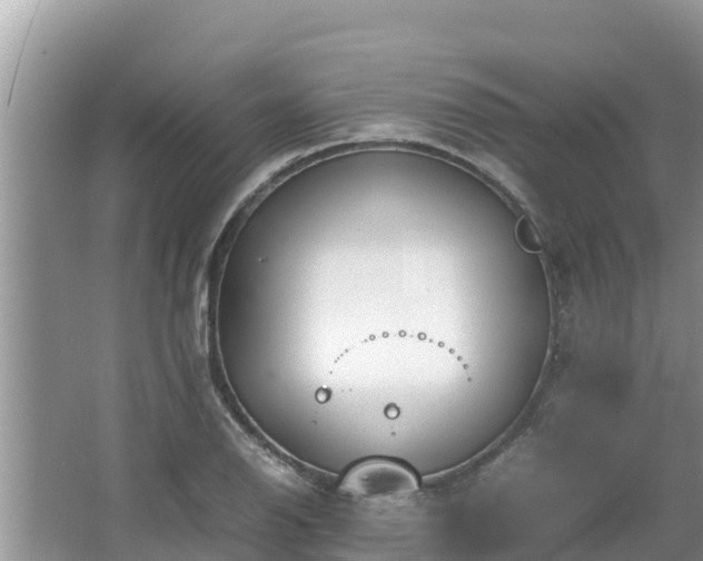 X0000067341126200604071344