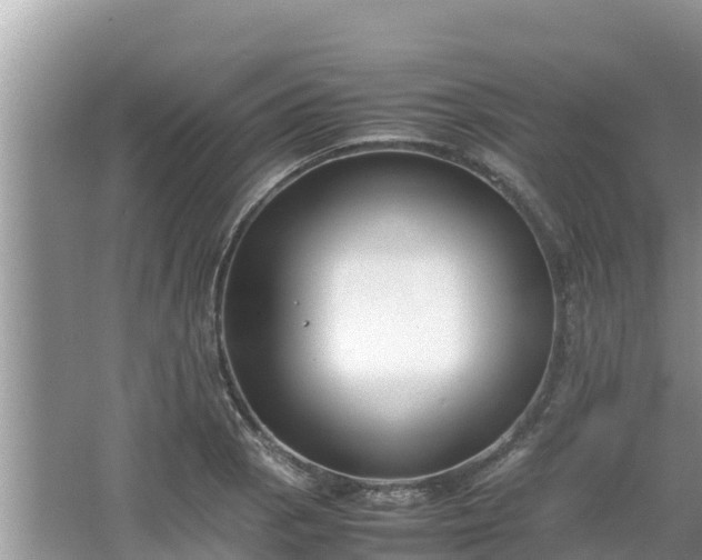 X0000067341129200604071344