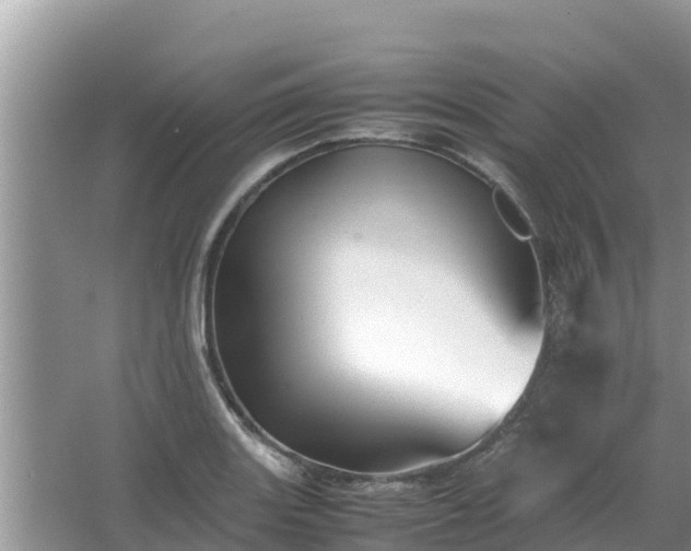 X0000067341131200604071344