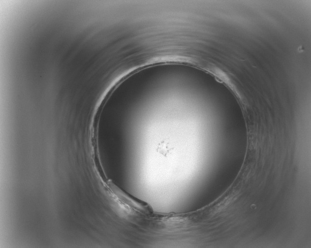 X0000067341140200604071344