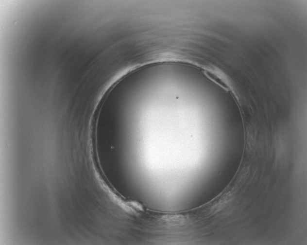 X0000067341142200604071344