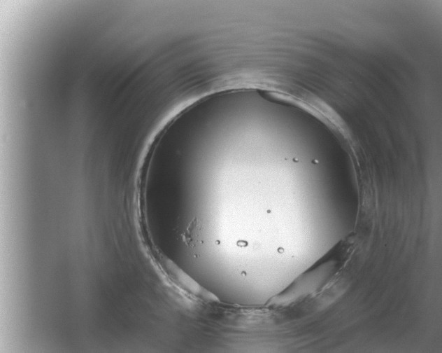 X0000067341144200604071344